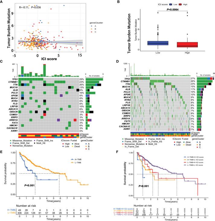 https://cdn.ncbi.nlm.nih.gov/pmc/blobs/b62e/8959995/b736f47c662a/fimmu-13-861525-g006.jpg