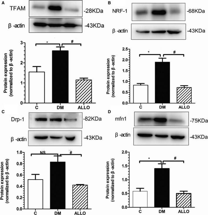 https://cdn.ncbi.nlm.nih.gov/pmc/blobs/b62f/6015332/18261298ae0c/JAH3-7-e008807-g003.jpg