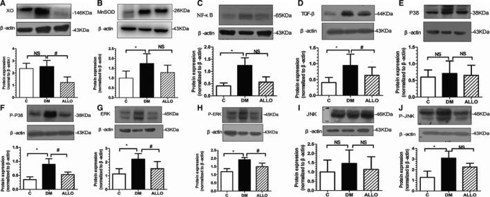 https://cdn.ncbi.nlm.nih.gov/pmc/blobs/b62f/6015332/f63717182f8e/JAH3-7-e008807-g002.jpg