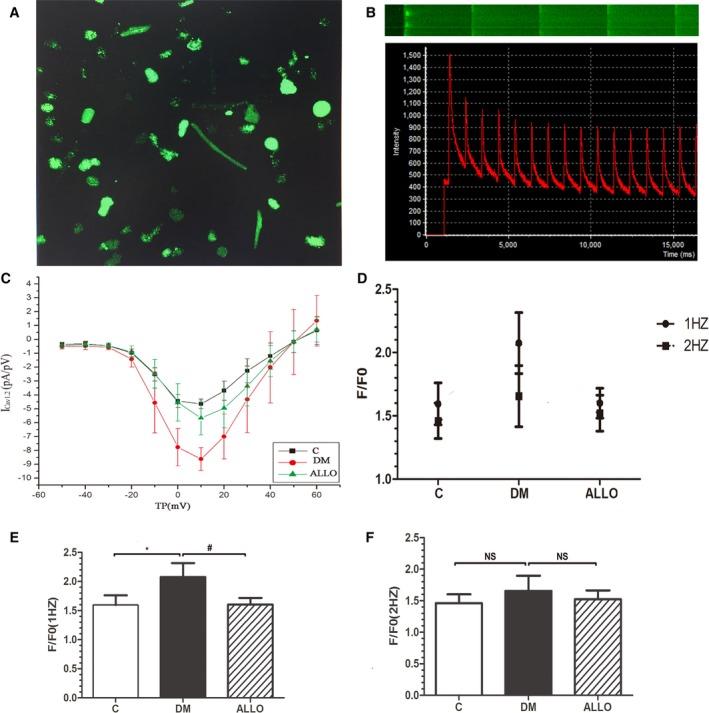 https://cdn.ncbi.nlm.nih.gov/pmc/blobs/b62f/6015332/fabc56e501c6/JAH3-7-e008807-g004.jpg