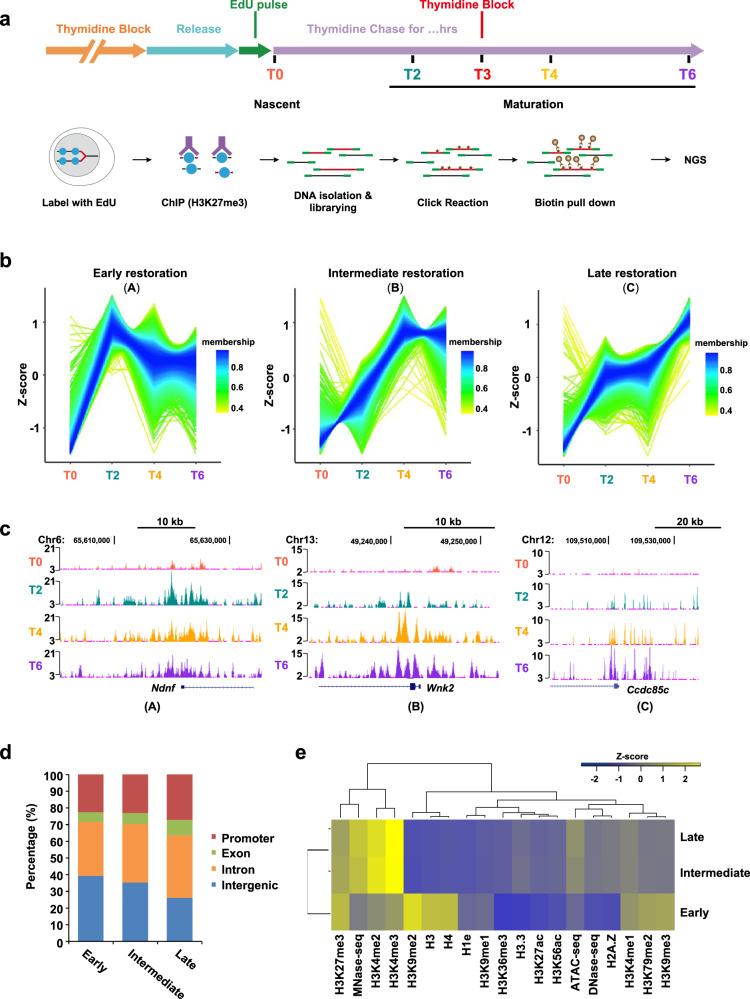 https://cdn.ncbi.nlm.nih.gov/pmc/blobs/b632/10333366/04f0c36d1cc1/41467_2023_39846_Fig1_HTML.jpg
