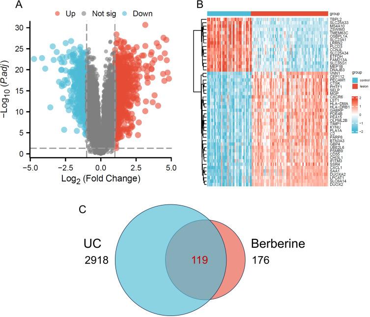 https://cdn.ncbi.nlm.nih.gov/pmc/blobs/b634/11246092/325ca6c85968/DDDT-18-2847-g0003.jpg