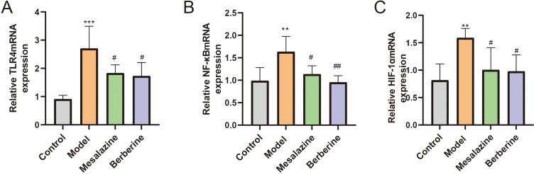 https://cdn.ncbi.nlm.nih.gov/pmc/blobs/b634/11246092/63268ae0340e/DDDT-18-2847-g0013.jpg