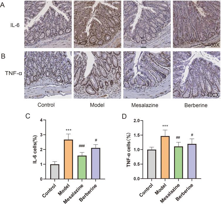 https://cdn.ncbi.nlm.nih.gov/pmc/blobs/b634/11246092/9a9ba44aa25e/DDDT-18-2847-g0012.jpg
