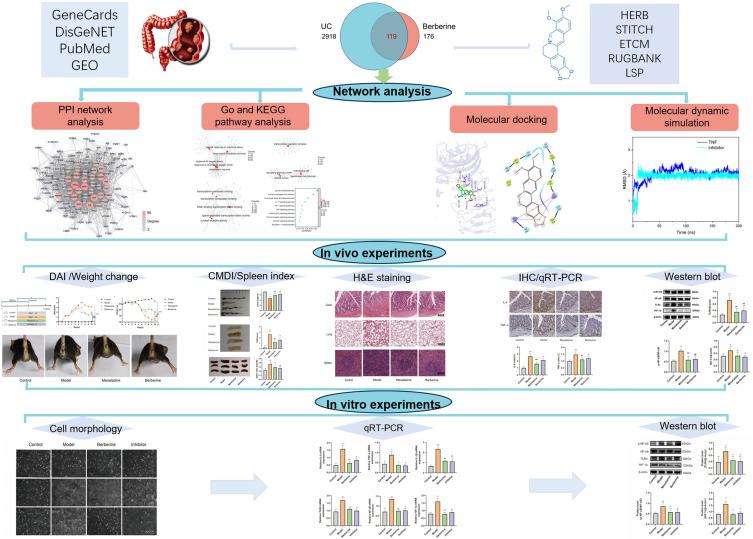 https://cdn.ncbi.nlm.nih.gov/pmc/blobs/b634/11246092/aa5c780aac52/DDDT-18-2847-g0002.jpg