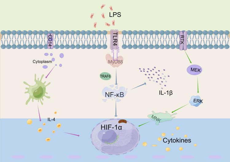 https://cdn.ncbi.nlm.nih.gov/pmc/blobs/b634/11246092/bfa77cdebd56/DDDT-18-2847-g0018.jpg