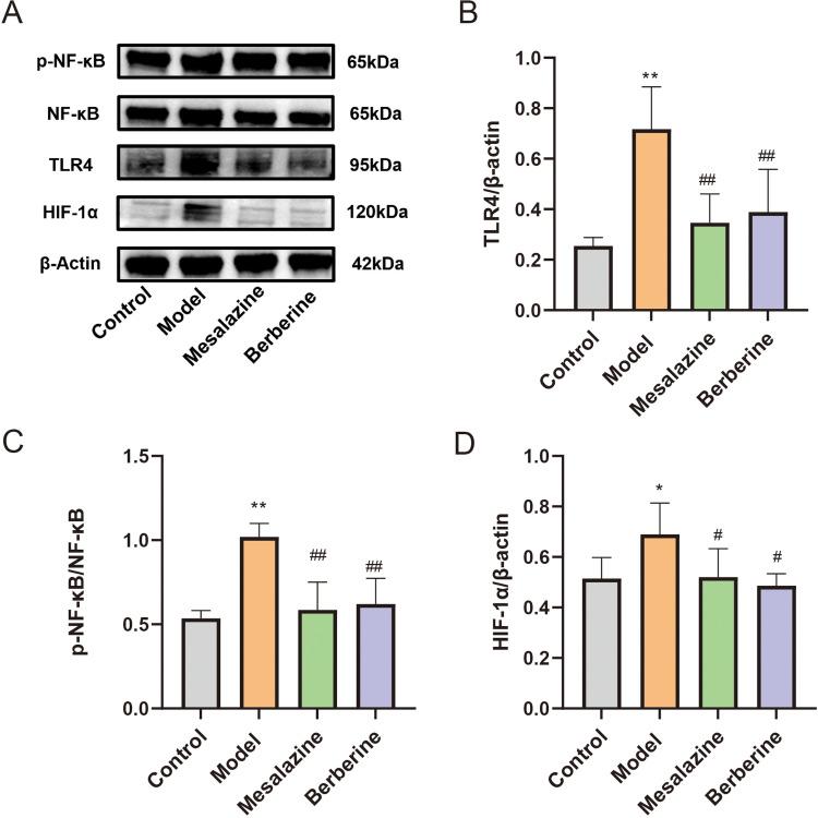 https://cdn.ncbi.nlm.nih.gov/pmc/blobs/b634/11246092/e39e0f58b9e8/DDDT-18-2847-g0014.jpg