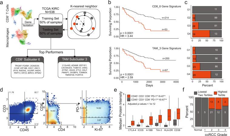 https://cdn.ncbi.nlm.nih.gov/pmc/blobs/b634/7840906/37953326a84b/42003_2020_1625_Fig6_HTML.jpg