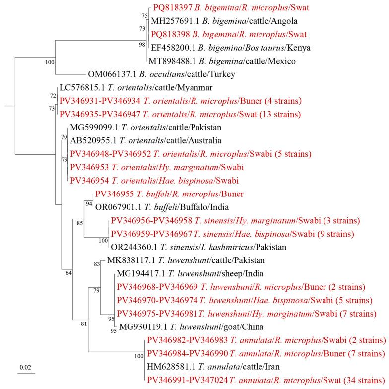 https://cdn.ncbi.nlm.nih.gov/pmc/blobs/b635/12195261/644e858c226d/microorganisms-13-01276-g005.jpg