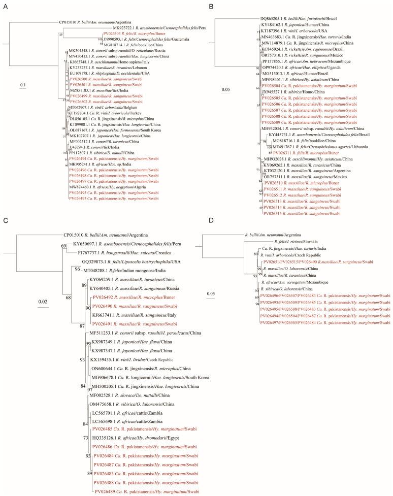 https://cdn.ncbi.nlm.nih.gov/pmc/blobs/b635/12195261/f58a980a8a5c/microorganisms-13-01276-g004.jpg