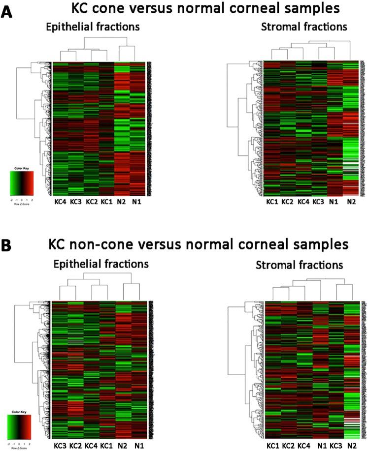 https://cdn.ncbi.nlm.nih.gov/pmc/blobs/b636/6393548/bdb66f2e50bc/41598_2019_39182_Fig4_HTML.jpg