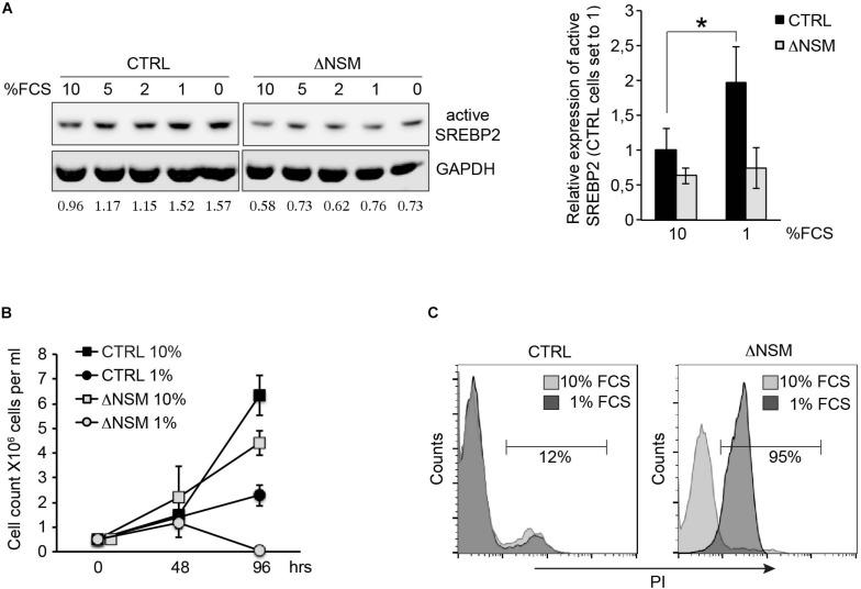 https://cdn.ncbi.nlm.nih.gov/pmc/blobs/b637/6803391/45b9f0e726fe/fcell-07-00226-g005.jpg