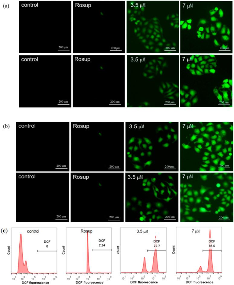 https://cdn.ncbi.nlm.nih.gov/pmc/blobs/b63a/11694625/0ee6954e20ac/d4ra06954d-f7.jpg