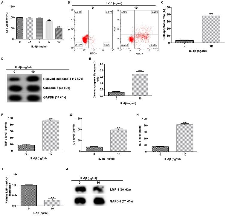https://cdn.ncbi.nlm.nih.gov/pmc/blobs/b63a/8649850/899b478387fd/etm-23-01-10983-g00.jpg