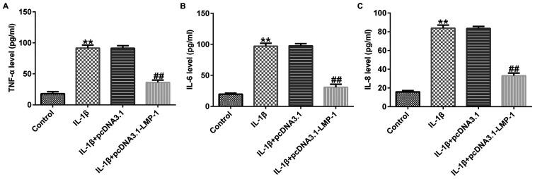 https://cdn.ncbi.nlm.nih.gov/pmc/blobs/b63a/8649850/cc8a6467b47b/etm-23-01-10983-g02.jpg