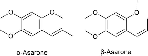 https://cdn.ncbi.nlm.nih.gov/pmc/blobs/b63d/12055781/6ff2b3bff8f7/fphar-16-1552801-g001.jpg