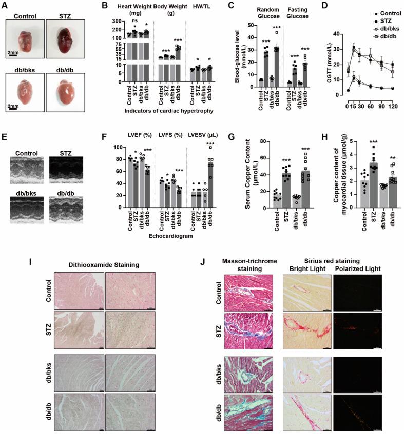 https://cdn.ncbi.nlm.nih.gov/pmc/blobs/b63d/9862315/9596f487b7d8/ijms-24-01667-g005.jpg