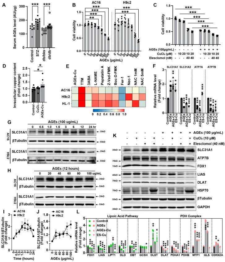 https://cdn.ncbi.nlm.nih.gov/pmc/blobs/b63d/9862315/f95313066cd0/ijms-24-01667-g002.jpg