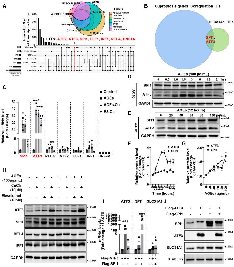 https://cdn.ncbi.nlm.nih.gov/pmc/blobs/b63d/9862315/ffe81cc1d142/ijms-24-01667-g003.jpg