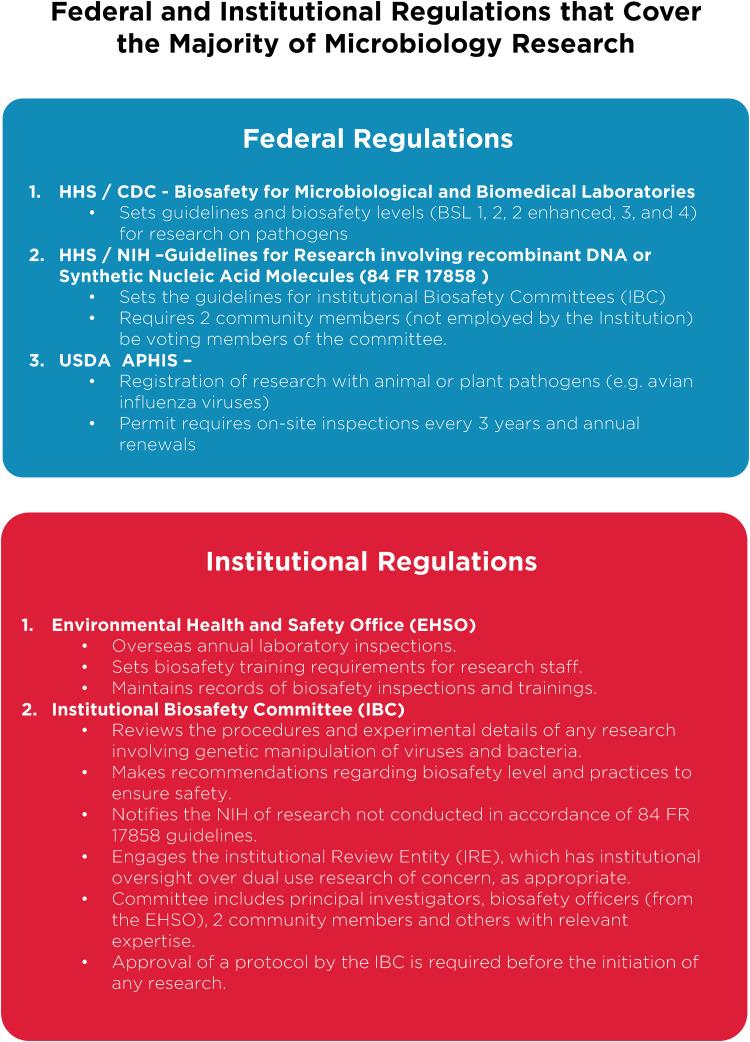 https://cdn.ncbi.nlm.nih.gov/pmc/blobs/b642/9972907/f6488a1157b4/jvi.00089-23-f001.jpg