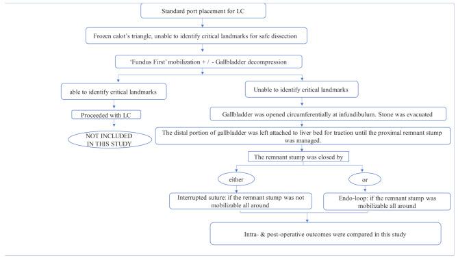 https://cdn.ncbi.nlm.nih.gov/pmc/blobs/b644/12001590/800b3f4a2c65/12876_2025_3864_Fig3_HTML.jpg