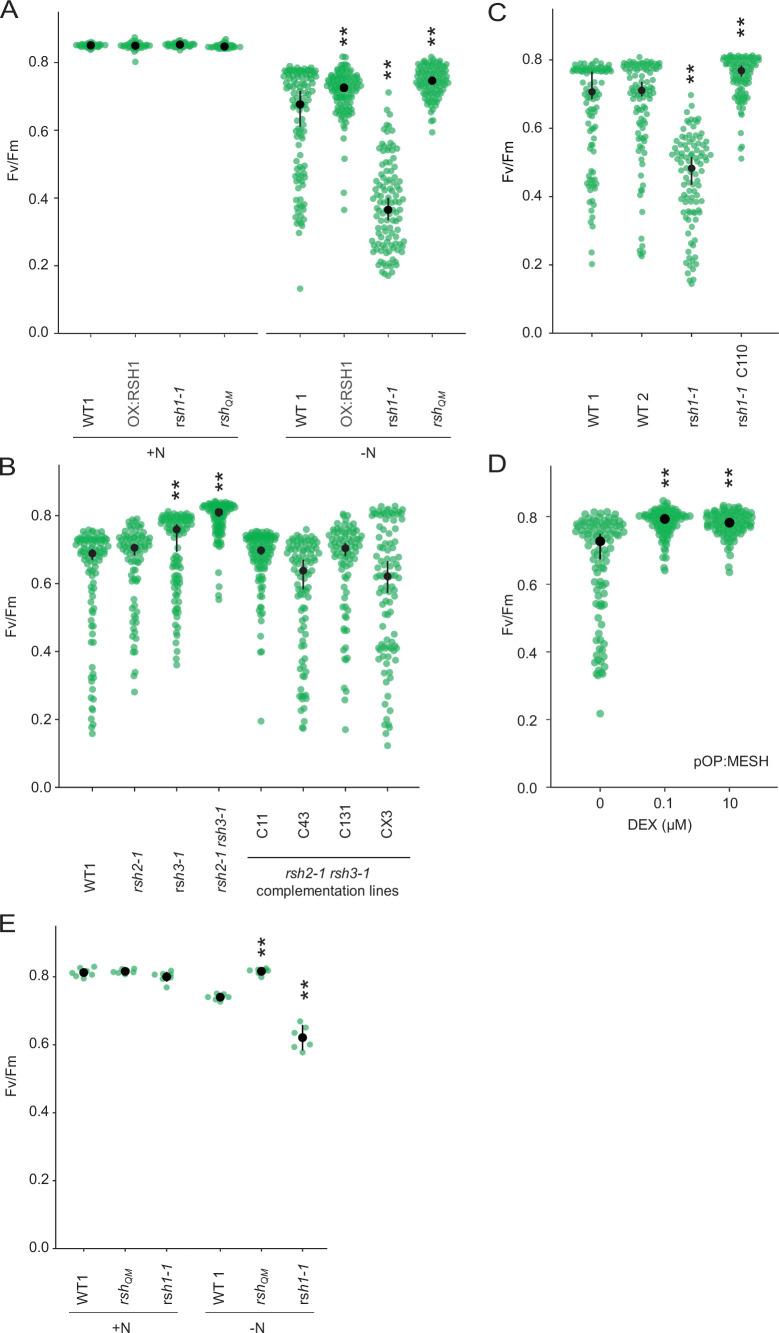https://cdn.ncbi.nlm.nih.gov/pmc/blobs/b644/8887892/c101d46df4a2/elife-75041-fig2-figsupp2.jpg