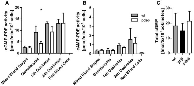 https://cdn.ncbi.nlm.nih.gov/pmc/blobs/b646/2742896/c6e9a7aa77a7/ppat.1000599.g004.jpg