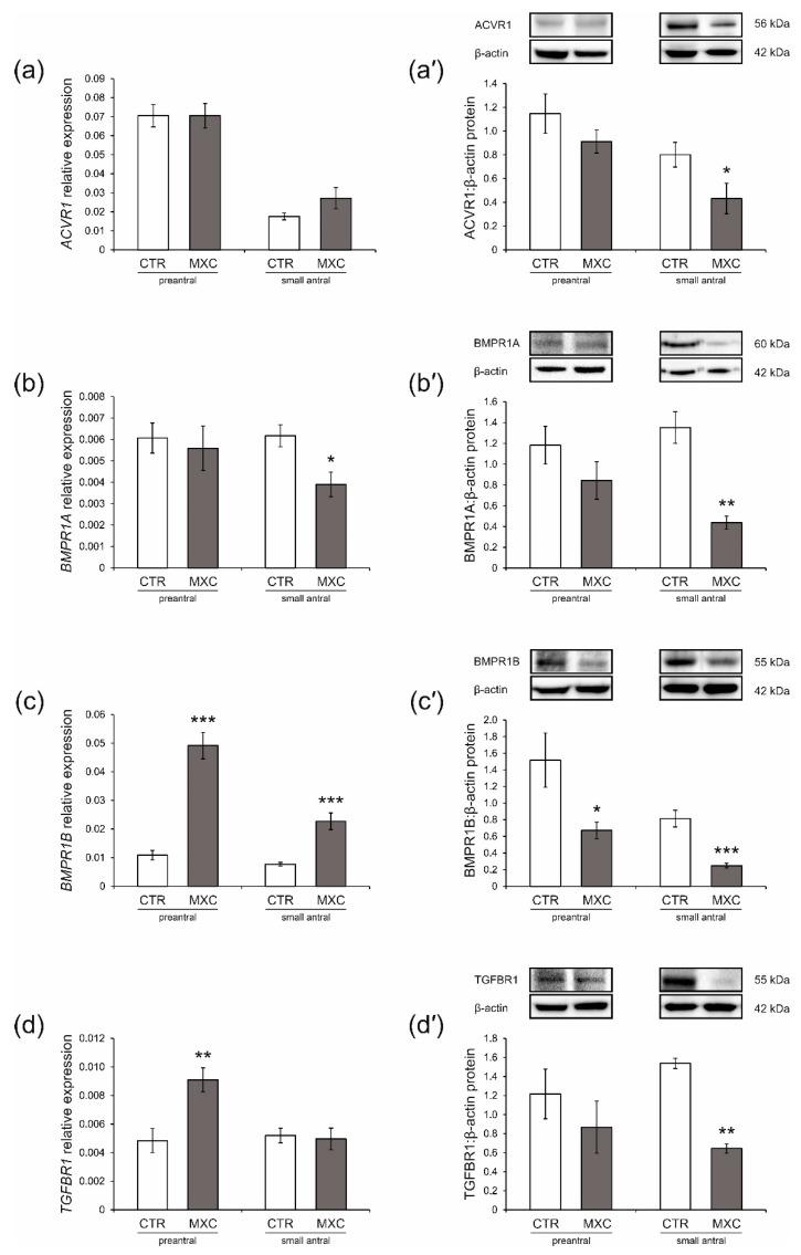 https://cdn.ncbi.nlm.nih.gov/pmc/blobs/b646/8911393/60fb11da2208/ijms-23-02780-g002.jpg