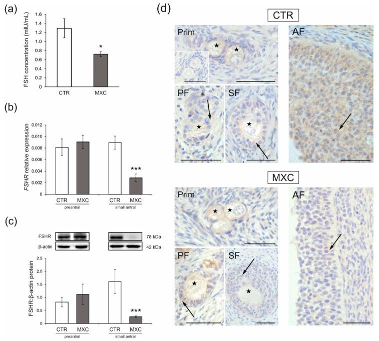 https://cdn.ncbi.nlm.nih.gov/pmc/blobs/b646/8911393/a697dc3de2e1/ijms-23-02780-g005.jpg
