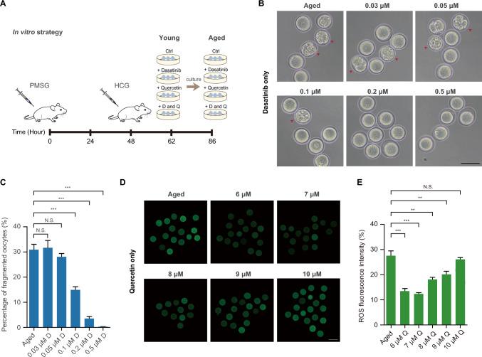 https://cdn.ncbi.nlm.nih.gov/pmc/blobs/b647/12008094/4cdf17c4a0ff/18_2025_5697_Fig1_HTML.jpg