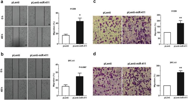 https://cdn.ncbi.nlm.nih.gov/pmc/blobs/b648/6475890/1a9d1325fe88/41388_2018_534_Fig3_HTML.jpg