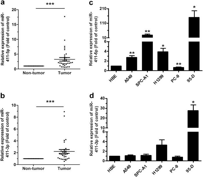 https://cdn.ncbi.nlm.nih.gov/pmc/blobs/b648/6475890/56d8205f5888/41388_2018_534_Fig1_HTML.jpg