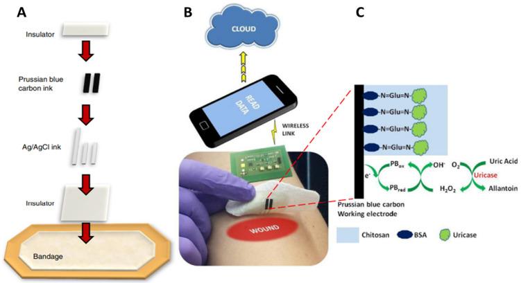 https://cdn.ncbi.nlm.nih.gov/pmc/blobs/b649/10136806/e2eddcdb083a/biosensors-13-00462-g009.jpg