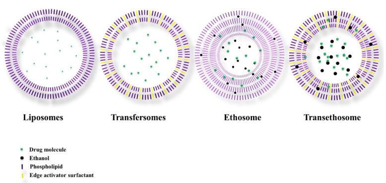 https://cdn.ncbi.nlm.nih.gov/pmc/blobs/b649/8537378/cb671c9181a4/nanomaterials-11-02557-g001.jpg