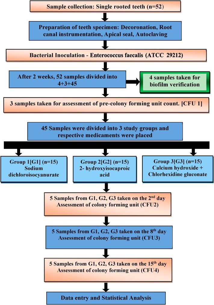 https://cdn.ncbi.nlm.nih.gov/pmc/blobs/b64b/12335985/bfc2923529cb/gr1.jpg