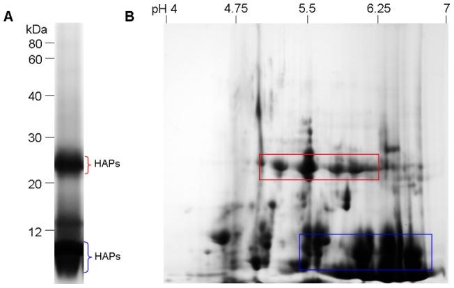 https://cdn.ncbi.nlm.nih.gov/pmc/blobs/b64b/3502364/f55390f8c109/pone.0050497.g001.jpg