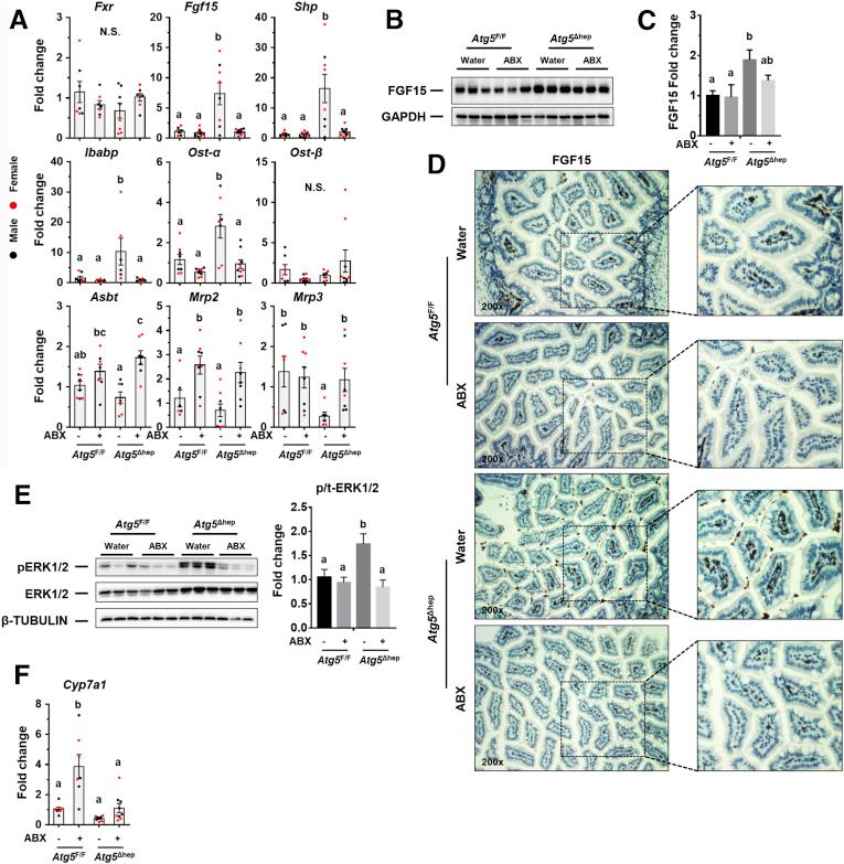 https://cdn.ncbi.nlm.nih.gov/pmc/blobs/b64b/7898036/0e59b8727d3f/gr10.jpg