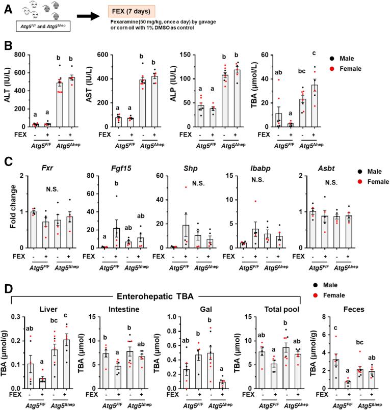 https://cdn.ncbi.nlm.nih.gov/pmc/blobs/b64b/7898036/47018b6a0505/gr14.jpg