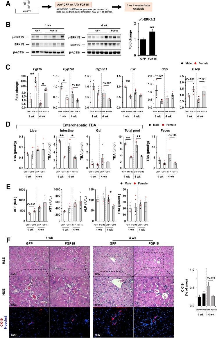 https://cdn.ncbi.nlm.nih.gov/pmc/blobs/b64b/7898036/9c7cdd6ffa71/gr15.jpg