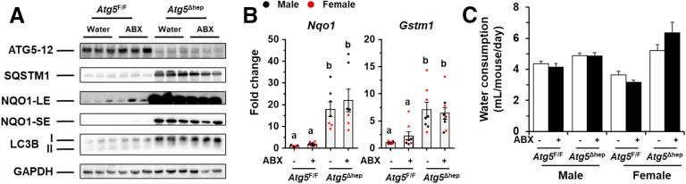 https://cdn.ncbi.nlm.nih.gov/pmc/blobs/b64b/7898036/9d150982888d/gr4.jpg