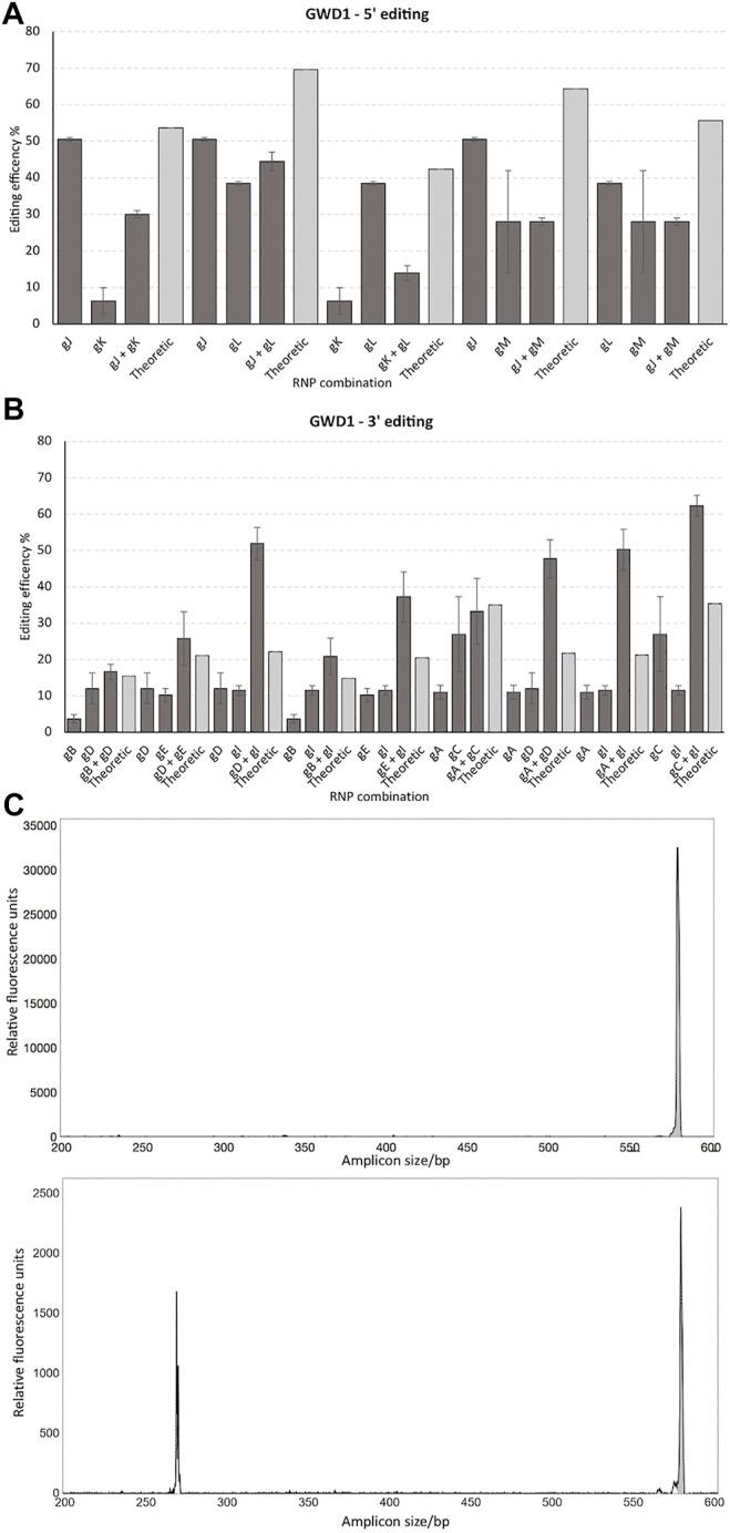 https://cdn.ncbi.nlm.nih.gov/pmc/blobs/b64b/8811252/b49a1d418d45/fgeed-03-795644-g003.jpg