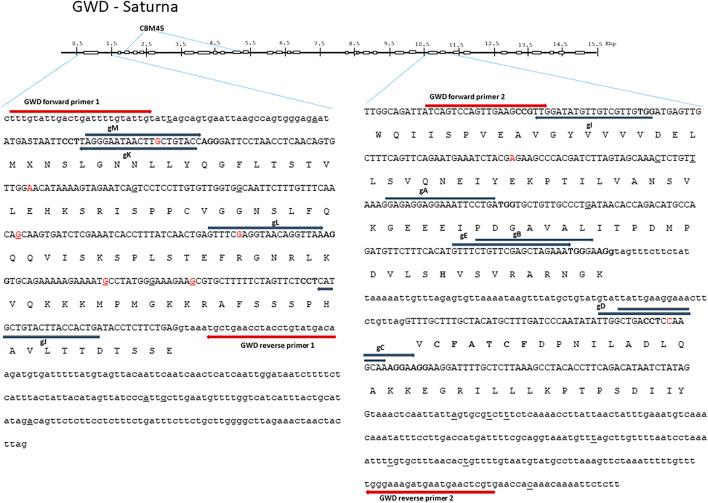 https://cdn.ncbi.nlm.nih.gov/pmc/blobs/b64b/8811252/fda964d45060/fgeed-03-795644-g001.jpg