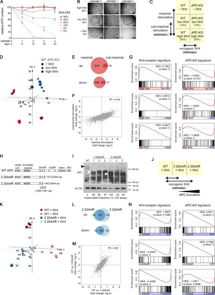 https://cdn.ncbi.nlm.nih.gov/pmc/blobs/b64c/6400532/2defc835c132/JEM_20180823_Fig4.jpg