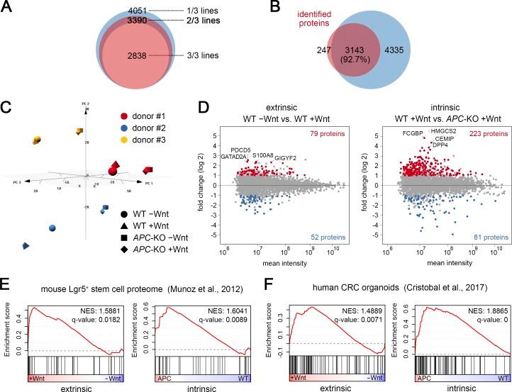 https://cdn.ncbi.nlm.nih.gov/pmc/blobs/b64c/6400532/a98945ac2fb6/JEM_20180823_Fig5.jpg