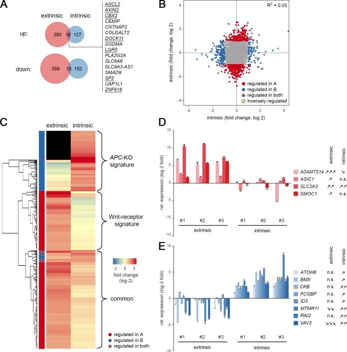 https://cdn.ncbi.nlm.nih.gov/pmc/blobs/b64c/6400532/ed1e1f0a0f51/JEM_20180823_Fig3.jpg