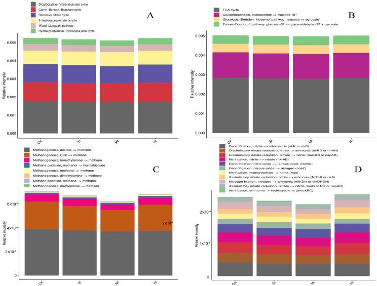 https://cdn.ncbi.nlm.nih.gov/pmc/blobs/b64d/11357443/076557b39910/microorganisms-12-01648-g004.jpg