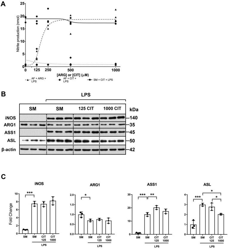 https://cdn.ncbi.nlm.nih.gov/pmc/blobs/b64f/12282984/433afea49e1c/vlaf028f6.jpg