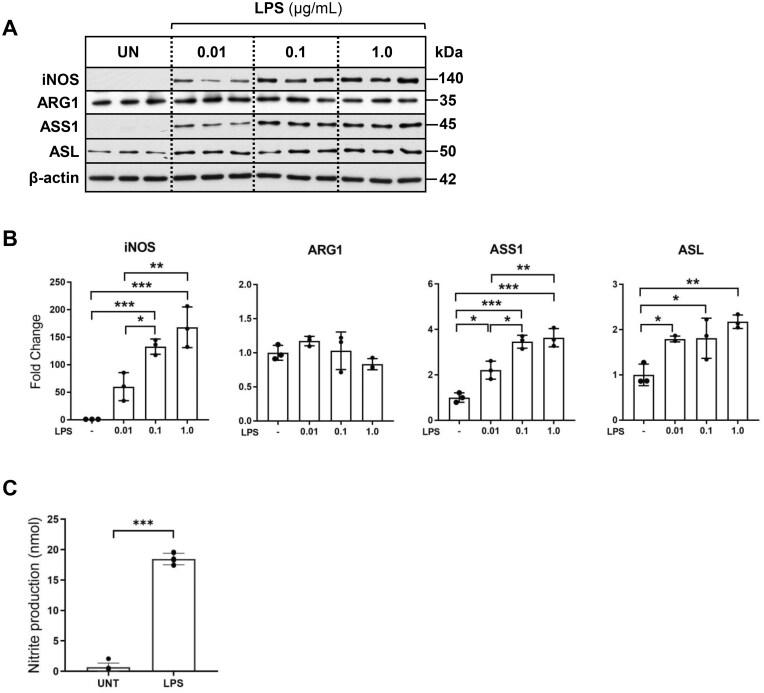 https://cdn.ncbi.nlm.nih.gov/pmc/blobs/b64f/12282984/6108d76982ab/vlaf028f1.jpg
