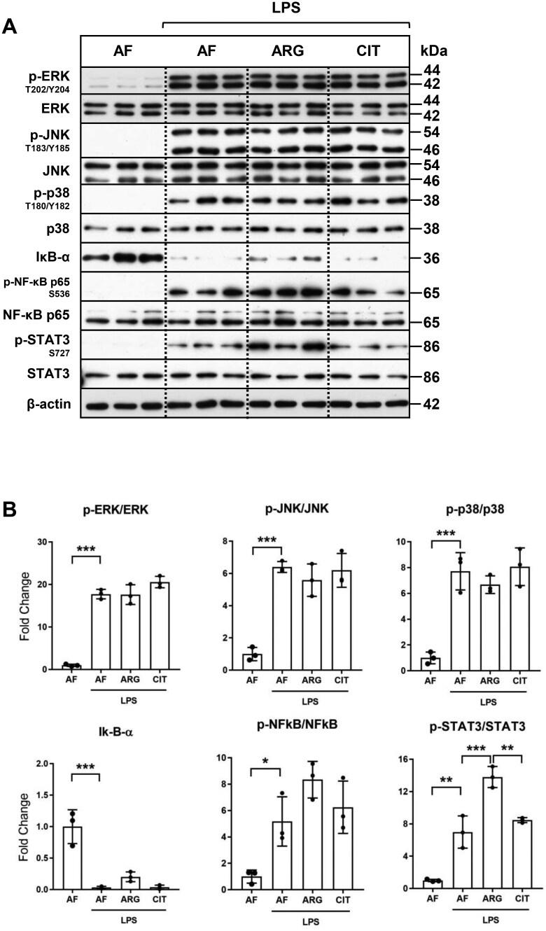 https://cdn.ncbi.nlm.nih.gov/pmc/blobs/b64f/12282984/e19e56575608/vlaf028f4.jpg