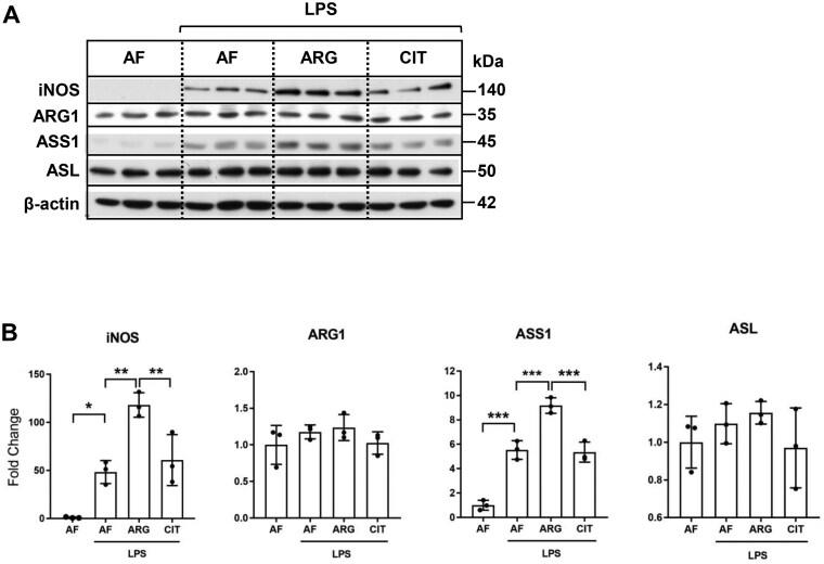 https://cdn.ncbi.nlm.nih.gov/pmc/blobs/b64f/12282984/e9b2b2f6d0e4/vlaf028f3.jpg